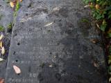 image of grave number 807029